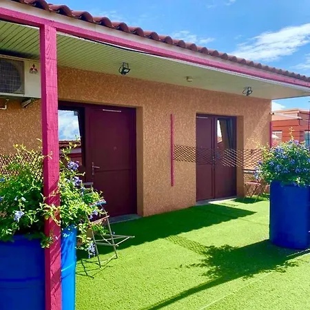 Acajou * Argelès-sur-Mer