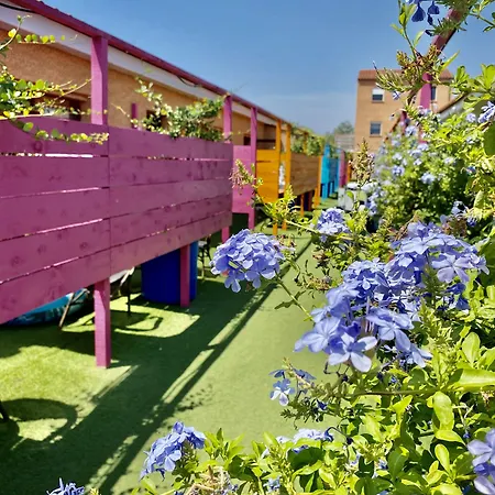 Acajou * Argelès-sur-Mer